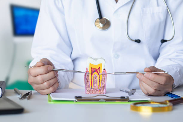 Best Same-Day Emergency Dentist in Petaluma, CA